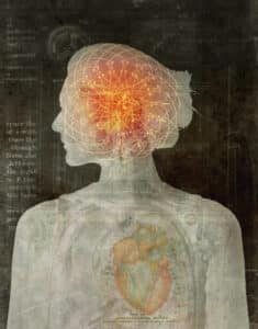 مجال علم النفس